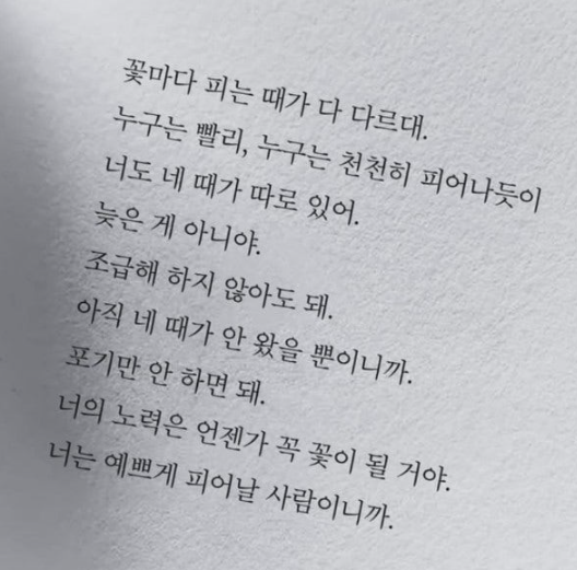 d4bf6b7fec88573a2b681abdf1d42294_1769835392_7976.PNG