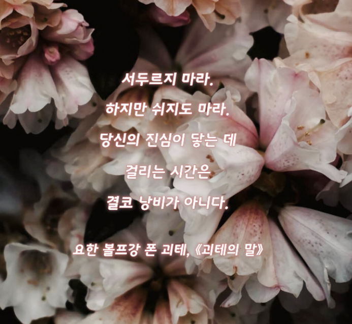 0fa1e7a0602bf306c6bbd54b16637353_1773284191_7318.PNG