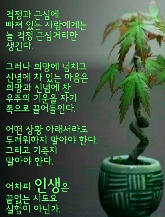 44e29cf14a2f7cff33b71ebfd1059c7c_1774930125_141.PNG