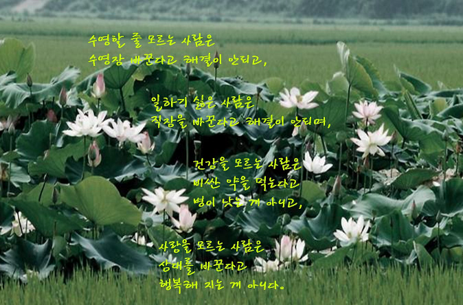 44e29cf14a2f7cff33b71ebfd1059c7c_1774939352_2964.PNG