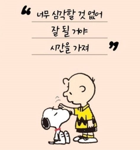 0c50c522031a8c001fc944a6cc0fe0db_1777269628_9049.PNG