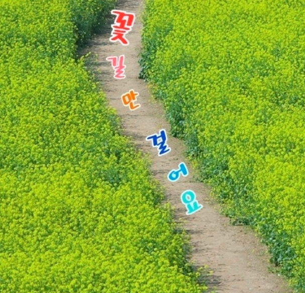 5b95356a5fe8c99580c2d7ab6011893b_1775015800_4518.PNG