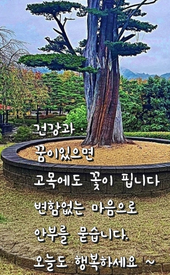 c28ecb2419b583bec299481612f242f9_1778401278_0789.PNG