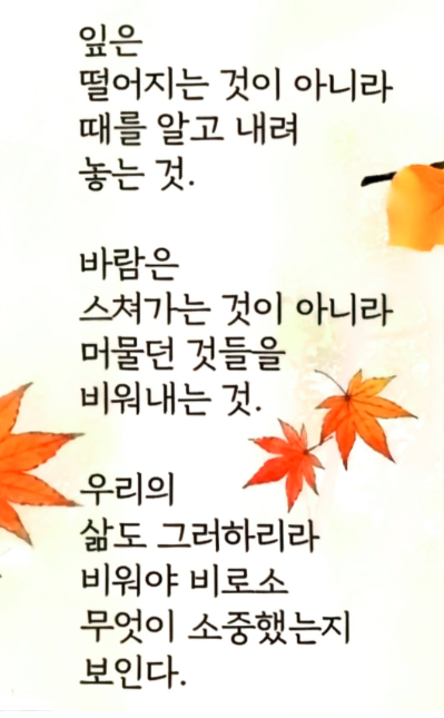 17fbb446d379cdf8fa8e717eee6321fb_1792477272_7899.PNG